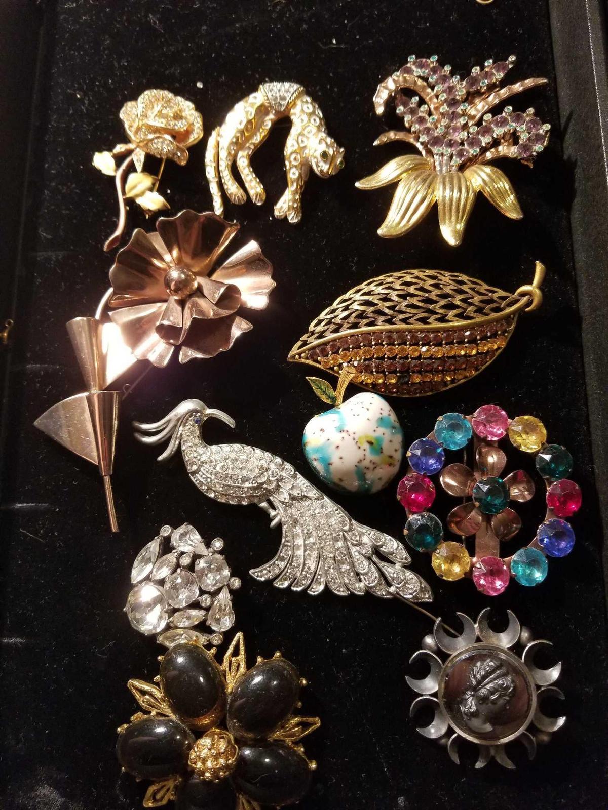 Victorian broach pins