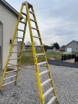 Werner Pro Series 12 ft Aluminum Fiberglas step ladder