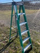 Werner 6 ft step ladder