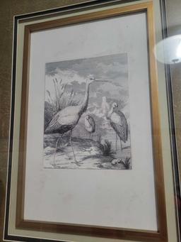 Pair framed Heron/Crane themed illustration prints