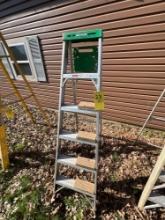 Aluminum Green Top Werner Ladder