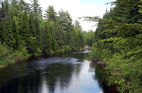 Hop, Skip and a Jump to the Aroostook River!