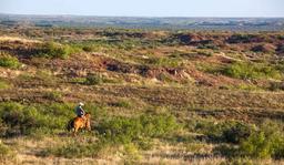 Own Your Own Ten Acre Texas Ranch, Partner!