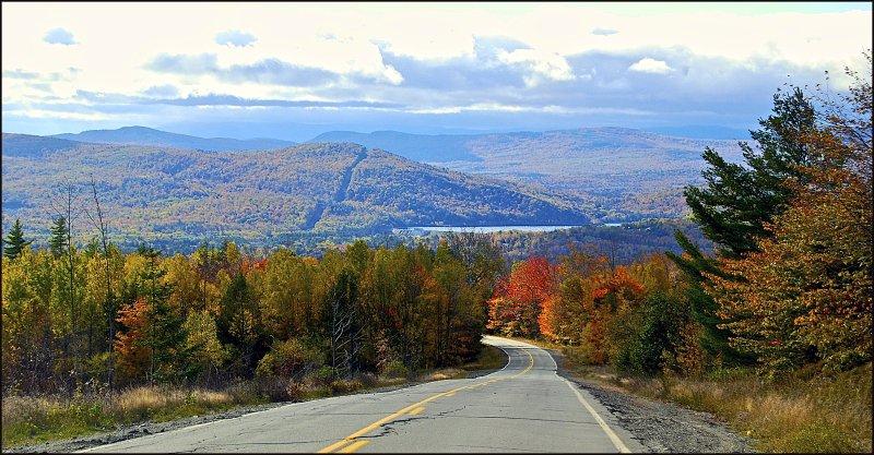 Surreal Seclusion in Maine