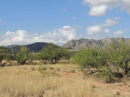 Southern Arizona Hospitality!