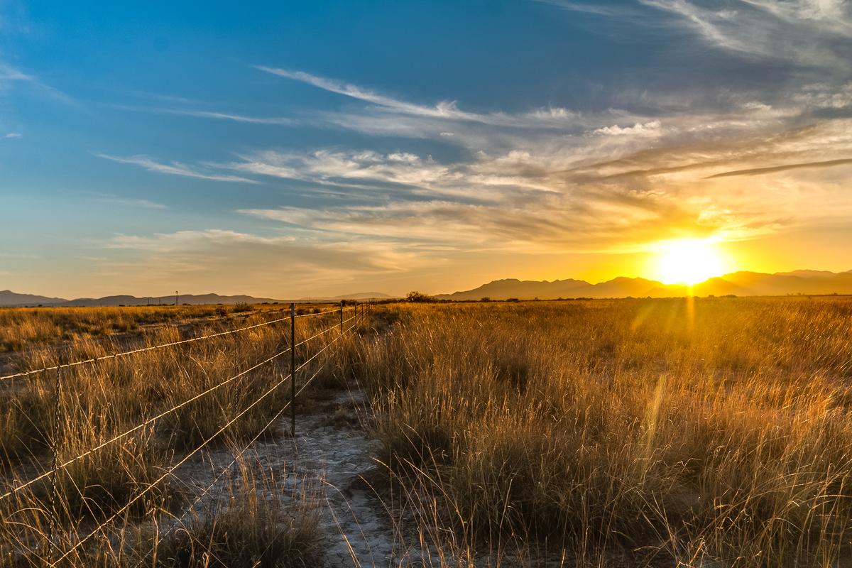 Enjoy the Beautiful Views of the Sonoran Desert!