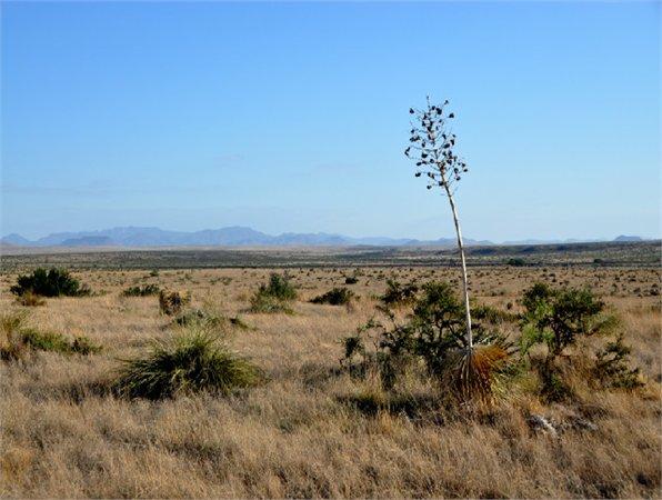 Looking for Great Mountain Views? This Five Acre Texas Ranch is Perfect!