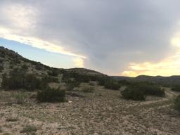 Bird Watch From Your Own Texas Ranch!