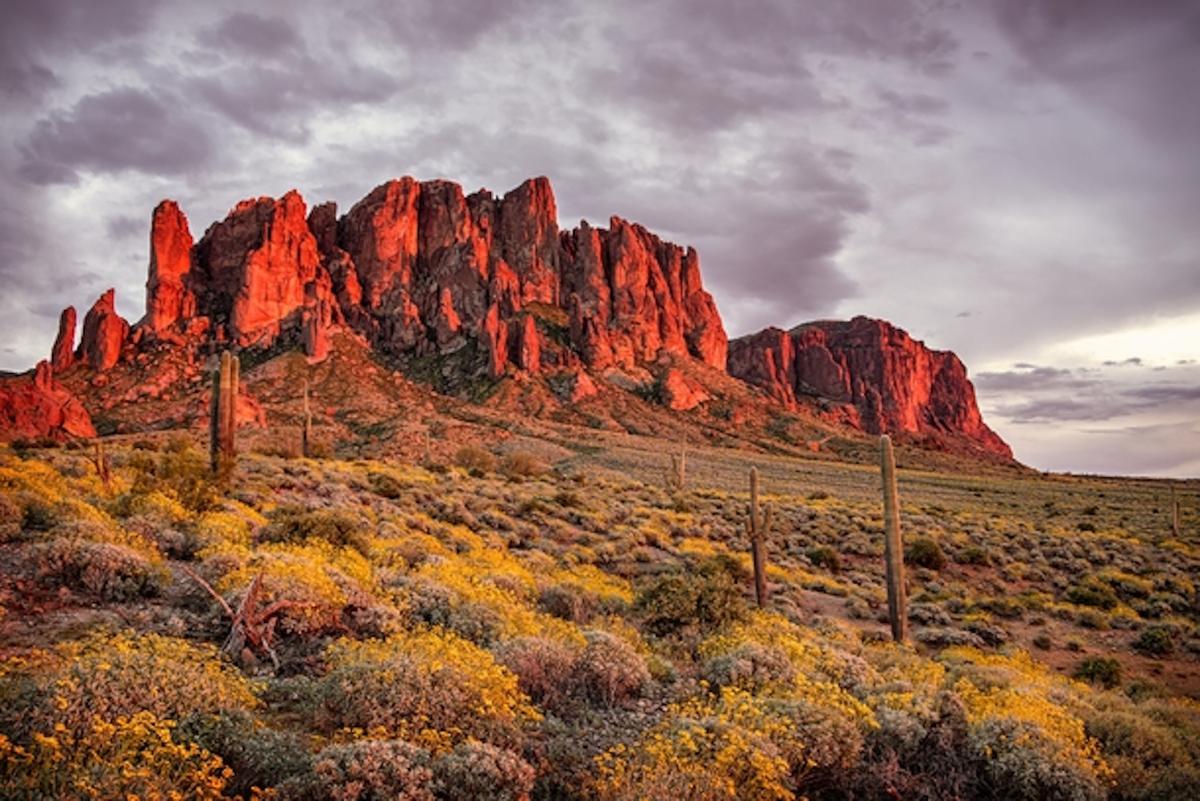 Over an Acre of Paradise Outside of Holbrook, Arizona!