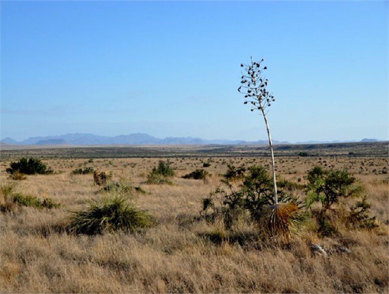 Five Glorious Acres in the Heart of Texas!