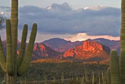 One+ Acre Lot just a Stone's Throw from the Petrified Forest In Arizona!