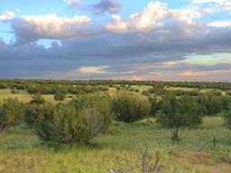 One Acre Near the Petrified Forest National Park!