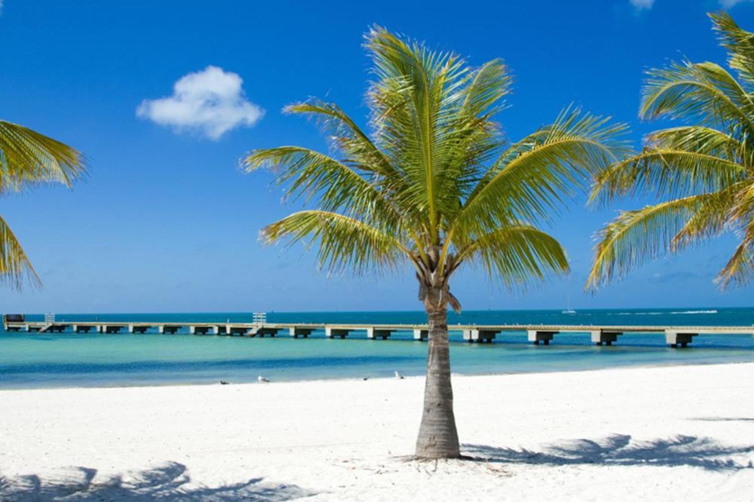 Live Near Amazing Beaches! Peaceful Port Charlotte, FLORIDA!