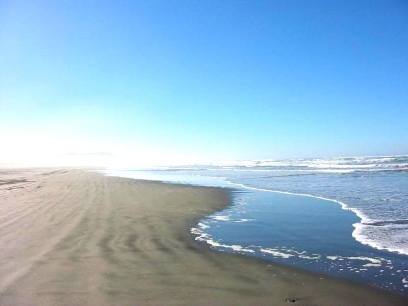 1/4 Mile from the Pacific Ocean Beach! Enjoy Grays Harbor, WA