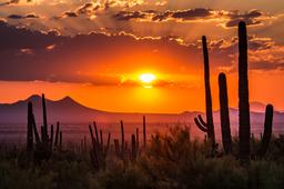 45 Minute Drive from Flagstaff RIGHT ON I-40!