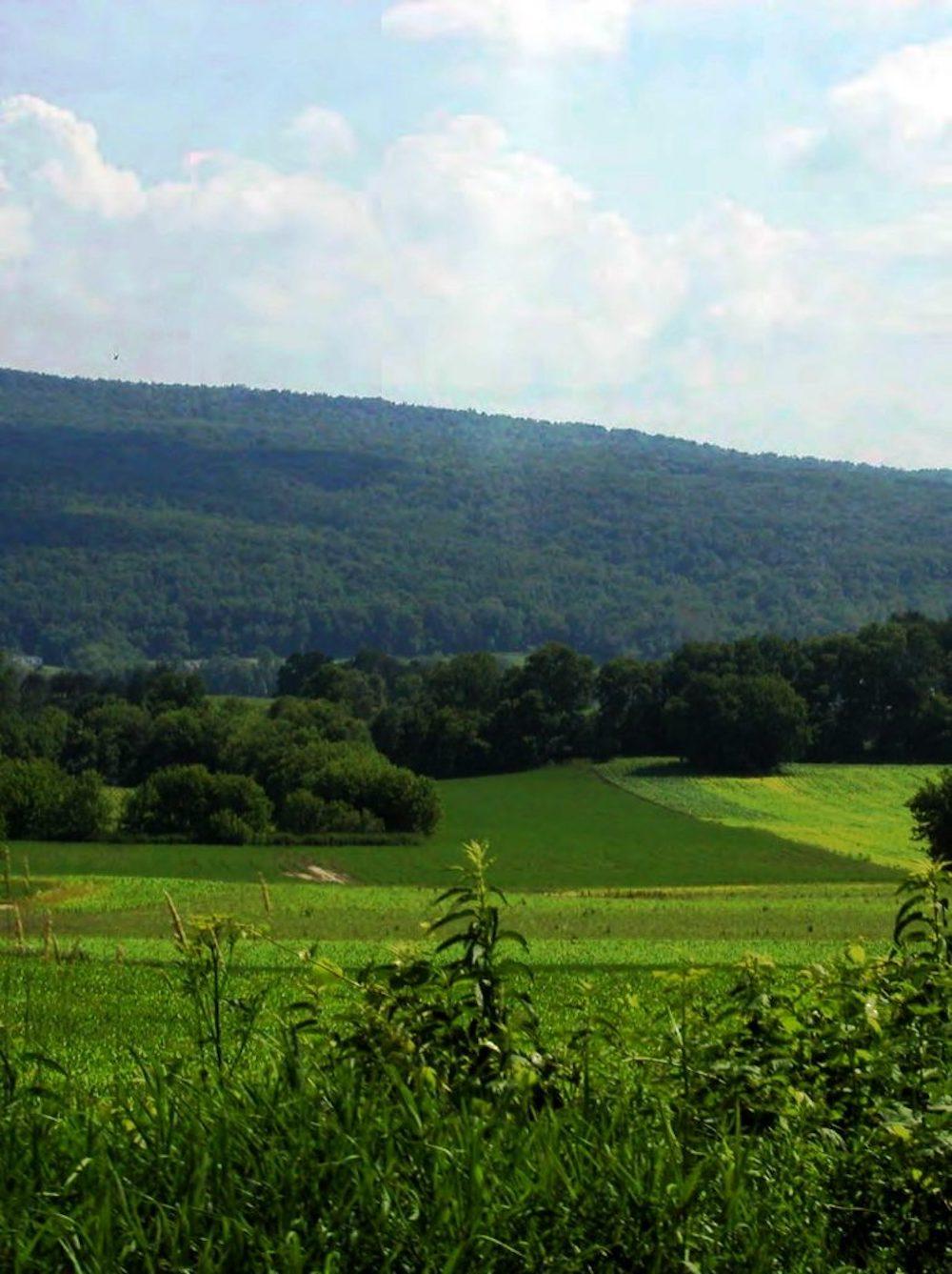 Gorgeous Wisconsin Building Site!