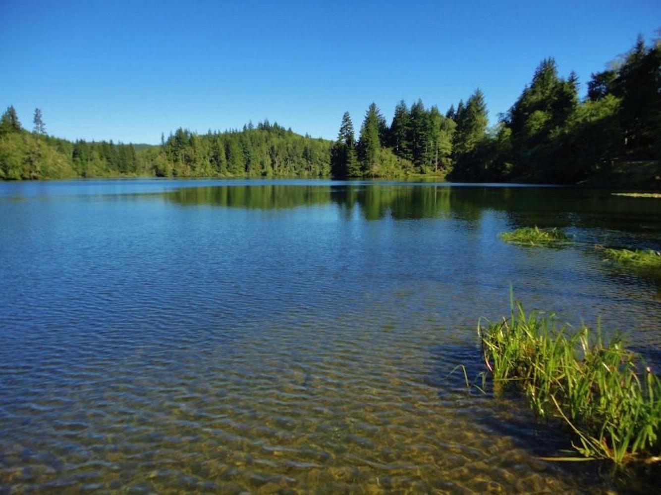 Wet and Wild - Washington's Olympic Peninsula!