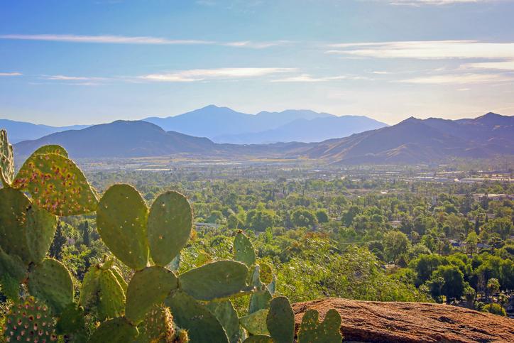 Terrific Family Environment in Riverside, CA!