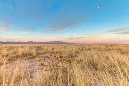 Five Contiguous Lots - A Quiet Oasis at the Edge of Historic Downtown Willcox in Cochise County