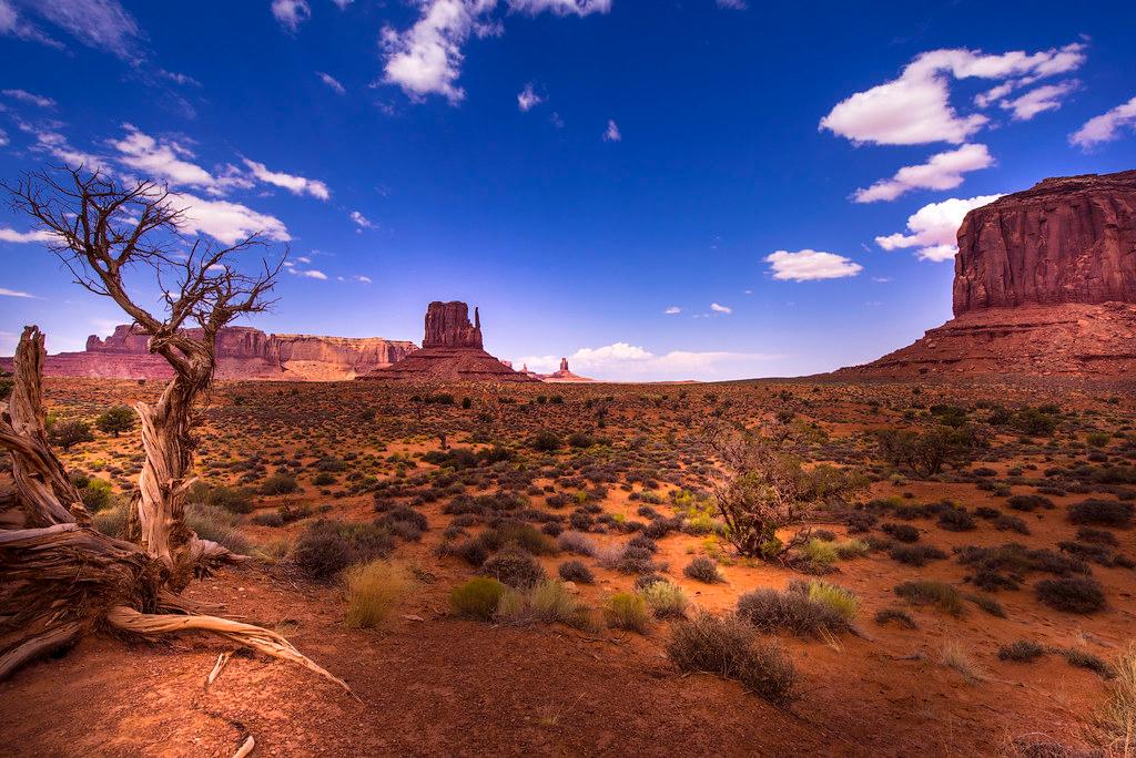 Beautiful Landscapes in Arizona!