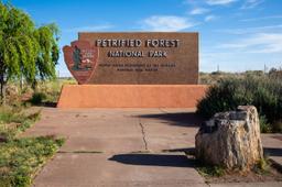 Iconic Vistas in Navajo County, Arizona