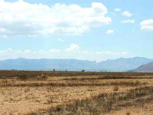 Two Adjacent Lots in Arizona!