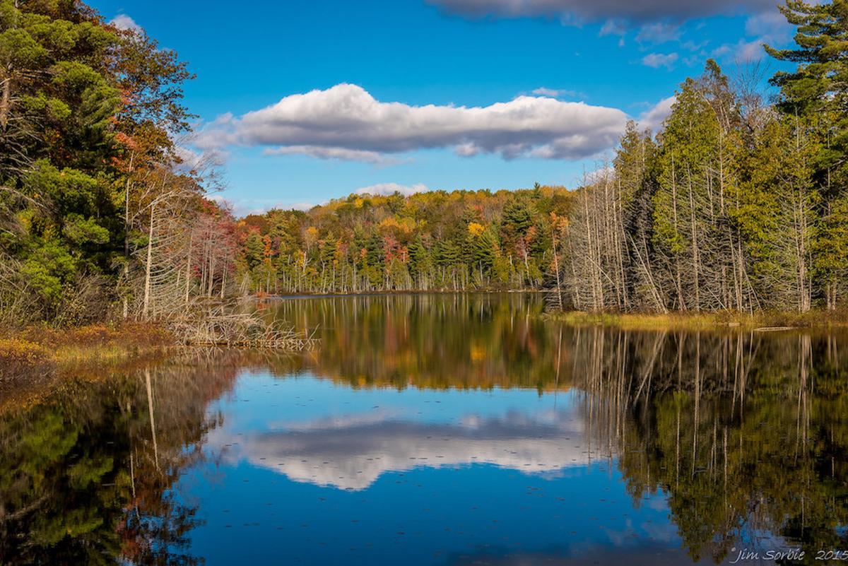 A Mile to Golf and to the Slopes in Antrim County, Michigan!