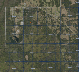 One Acre in Peaceful Polk County, Florida!