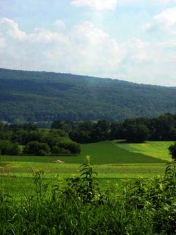 Gorgeous Oversized Wisconsin Cul De Sac Lot. Steps Away from an Amazing Lake!