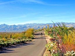 Over 2 Acres in Navajo County, Arizona!