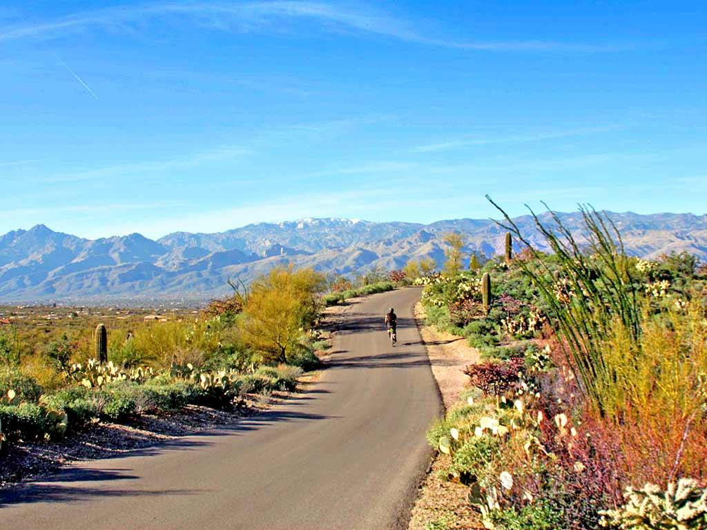Beautiful Scenic Views on Your Very Own Land in Cochise County, Arizona!