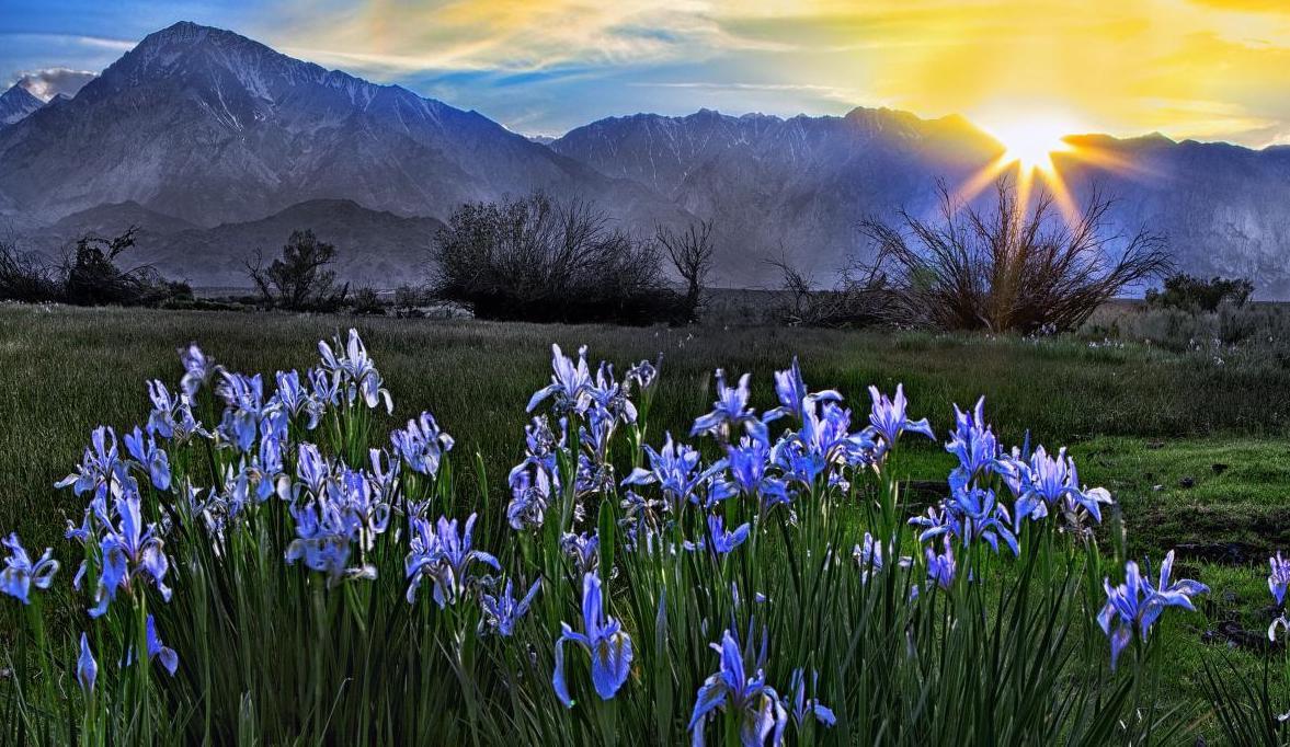 Breathtaking California Mountain Views!