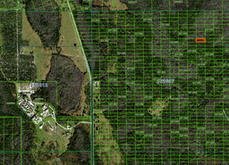 One Acre in Polk County, Florida!