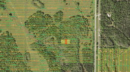Affordable Land in Peaceful Charlotte County, FLORIDA!