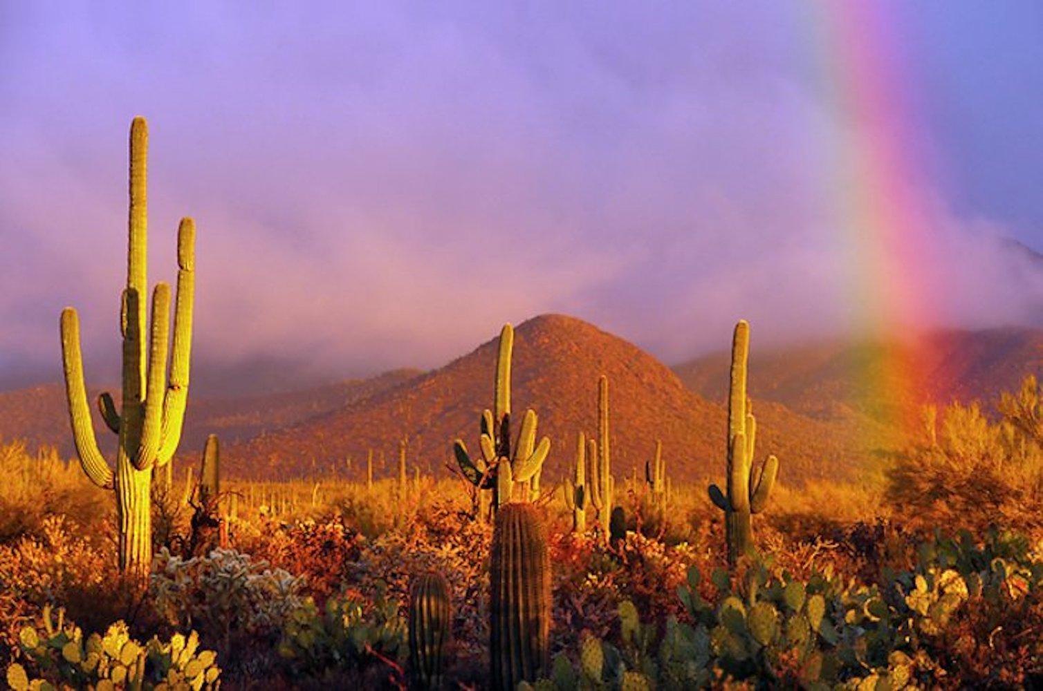 Twin Lakes Country Club in Cochise County, Arizona