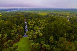 Peaceful Country Living At Its Finest in Polk County, Florida!