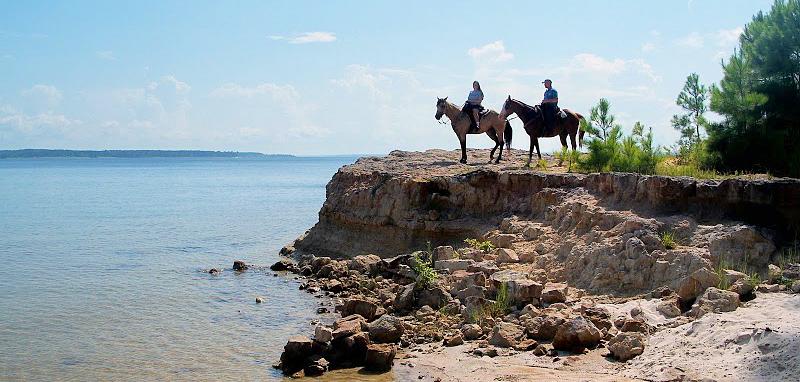 A Jewel in the East Texas Pines!