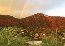 Natural Beauty & Adventure in Cochise County, Arizona!