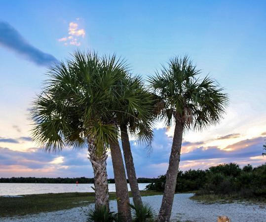 Sunny Charlotte County, Florida!