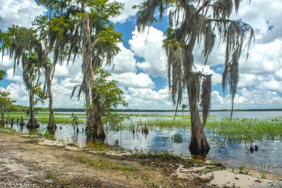 Over an Acre in Sunny Florida!