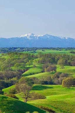 Almost 2 Acres of Country Living in Wonderful Northern California!!