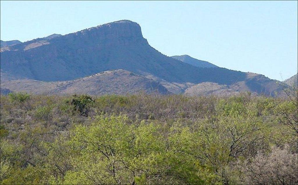 So Much to Choose from in Cochise County, Arizona