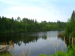 Beautiful Lakefront Property in Aroostook County, Maine!