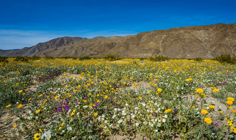 Outdoor Adventurer Paradise: 2.5 Acres in Southern California!