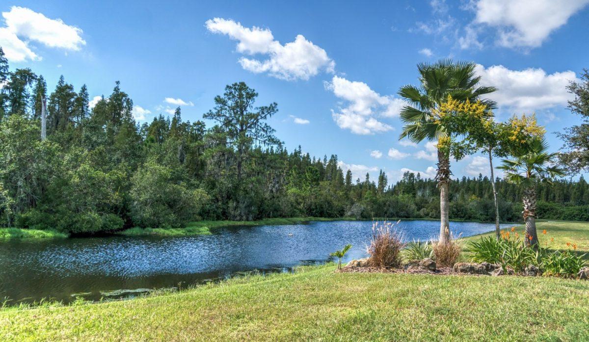 Over an Acre in Osceola County, Florida!