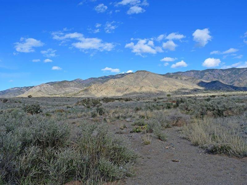 A Quarter-Acre New Mexico Lot, with a View of the Manzano Mountains!