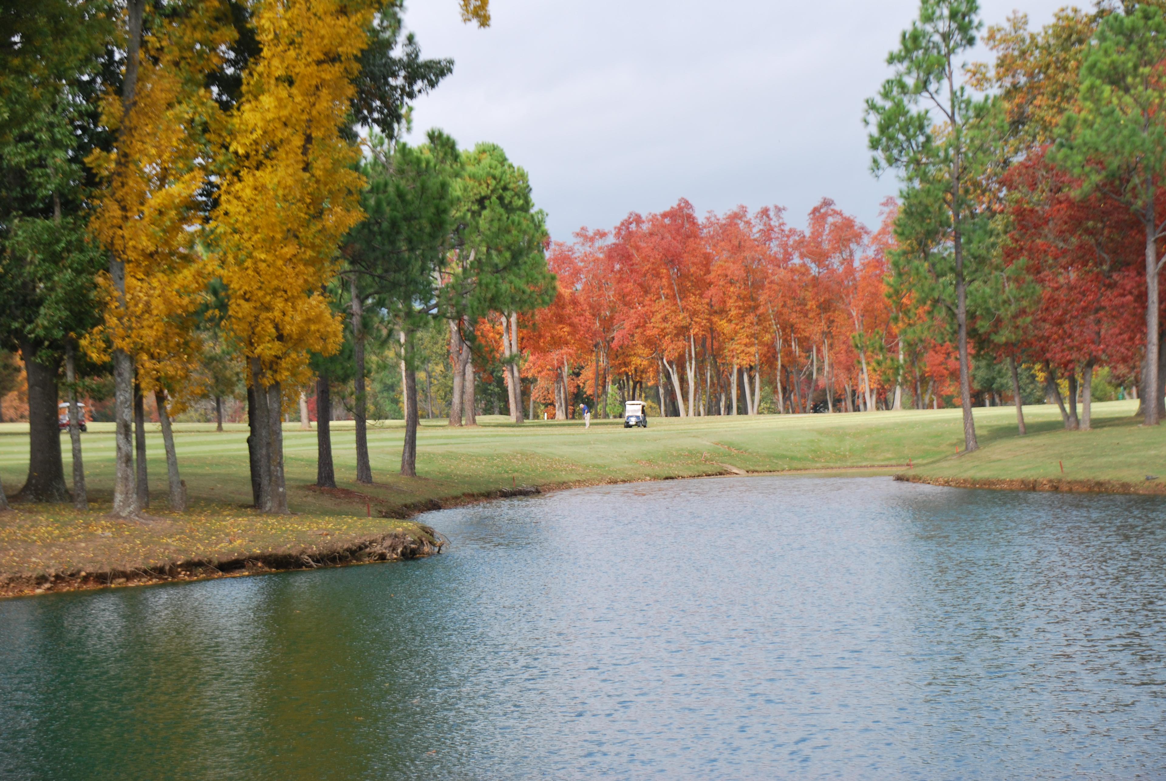 Beautiful Cherokee Village Homesite Near Arkansas Ozarks!