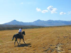 Escape to Nine Acres in the High Desert in Elko County, Nevada!