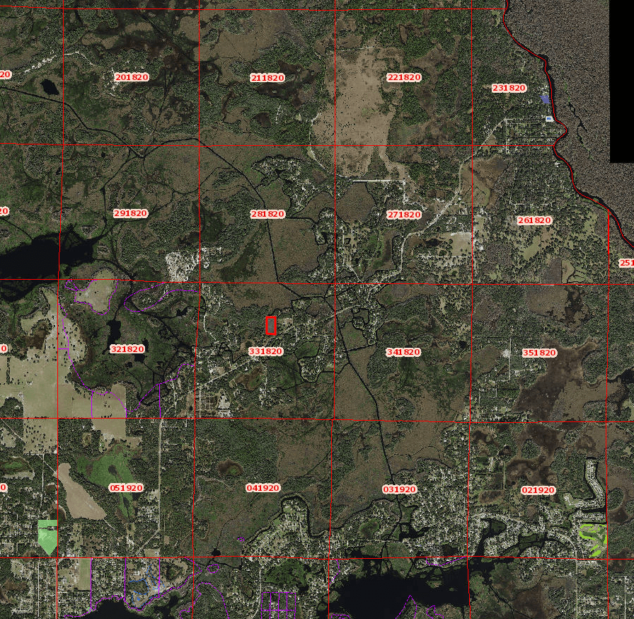 4.80 Acres in Citrus County, Florida!