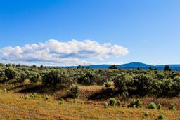 Build or Camp on Your Forest of Tall Pines in Peaceful & Uncrowded California Pines, Modoc County!